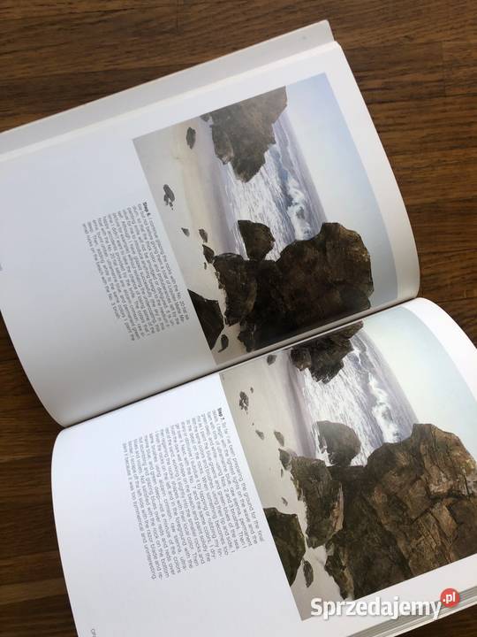 Magic Realistic Watercolor Painting Rudy de Poradniki, albumy i reportaże kujawsko-pomorskie Szramowo