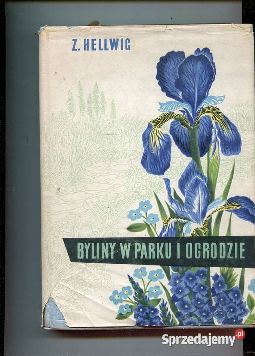 Byliny w parku i ogrodzie Zygmunt Hellwig twarda z obwolutą Szczecin