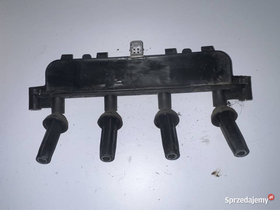 Cewka zapłonowa Citroen Xsara Picasso 18 Ostrzeszów