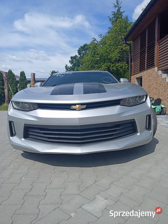 Camaro 6 Chełm