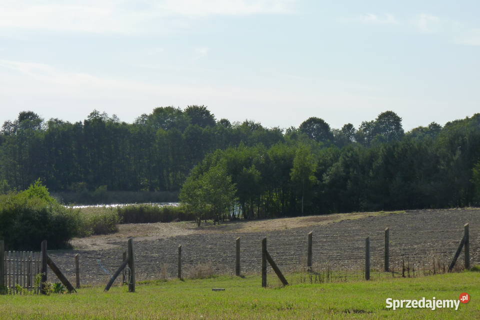 Działka Jeziorem L brzeg78m KChoszczna1 Ha 10120m2 zachodniopomorskie Zieleniewo