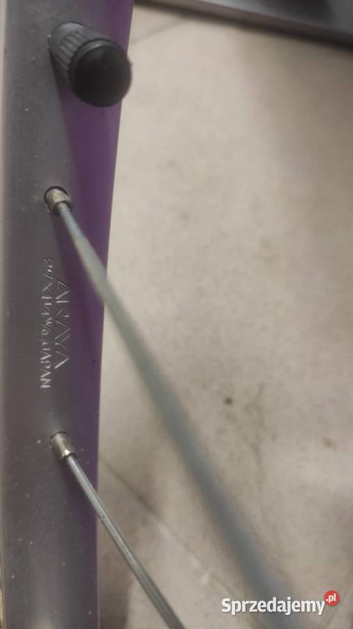 Schwinn world Sport damski