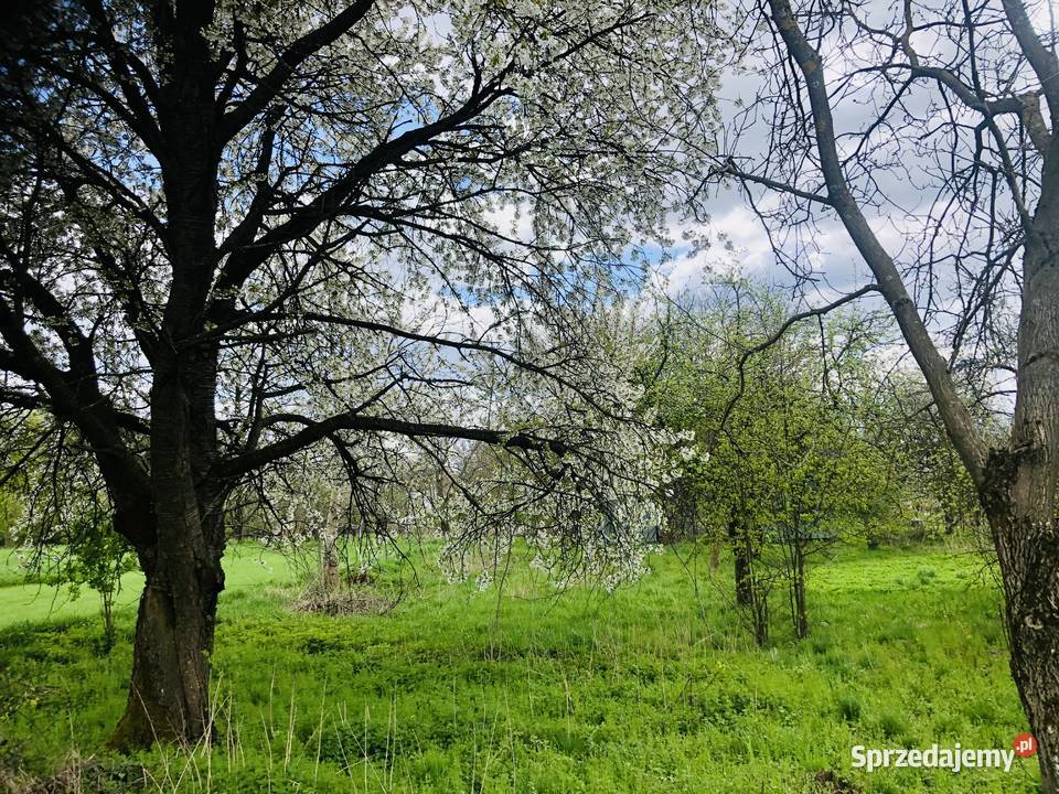 Agroturystykastadnina koni 561 ha z lasem Łówcza