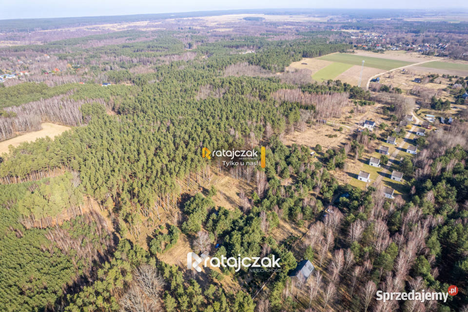Grunt na sprzedaż 9751m2 Sasino Stara Cegielnia Sprzedaż pomorskie