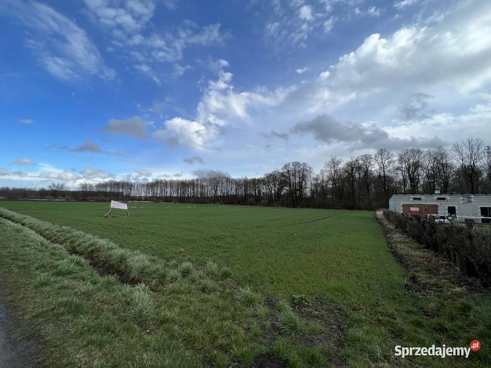 Działka rolna 5600m2 Suserz