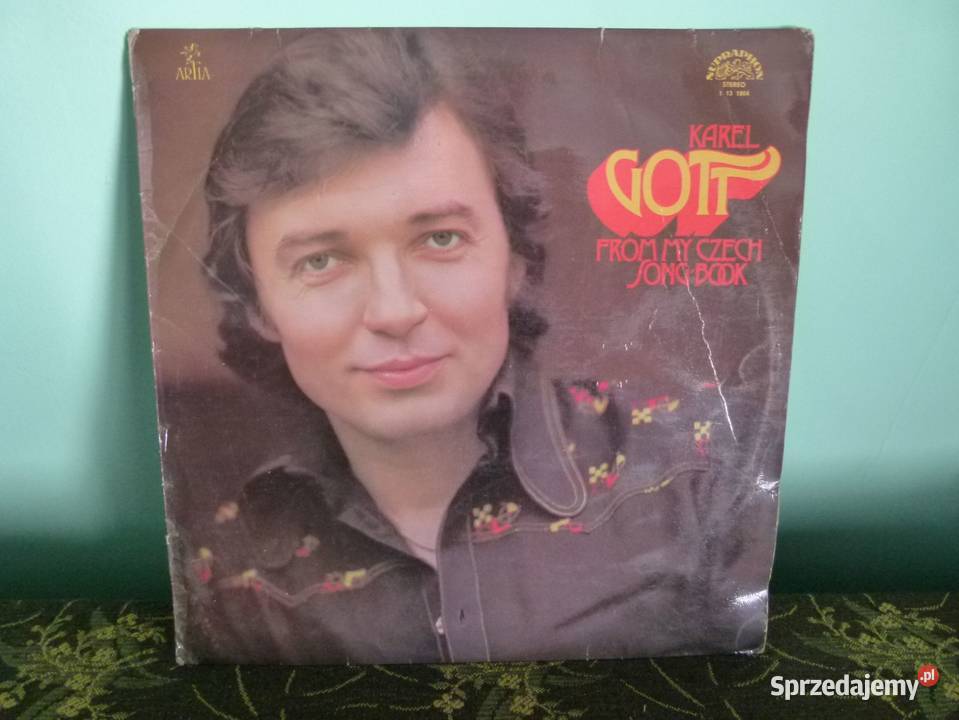 Płyty winylowe używane zabytek old school Kultura i Rozrywka Zamość