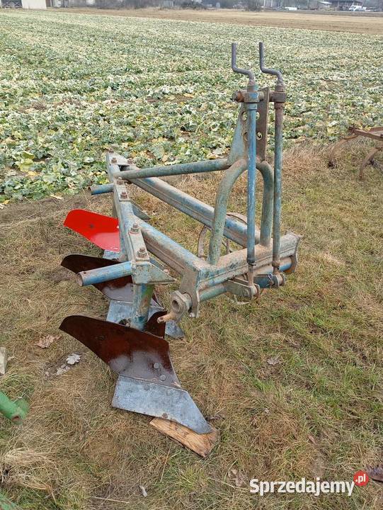 Pługi 3 Trzebieszów