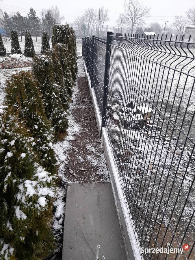 Ogrodzenie panelowe płot panelowy ogrodzenie śląskie Żory sprzedam