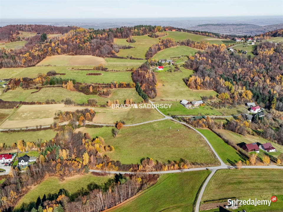 Grunt Kamionka Mała 130000m2 sprzedam