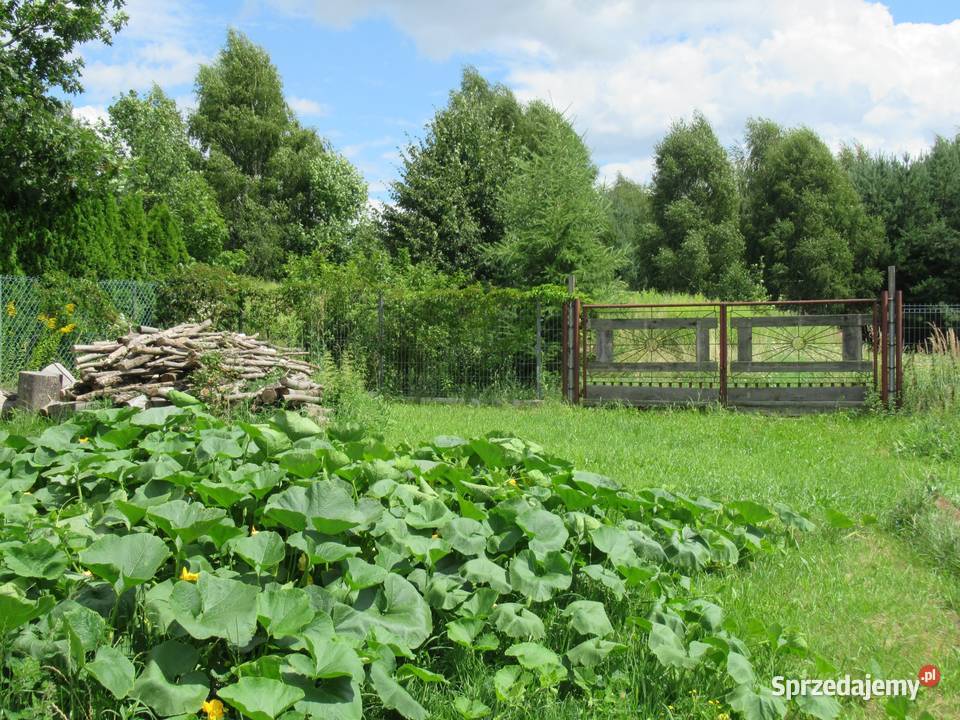 Działka rolnobudowlana kKrakowa Zabierzów