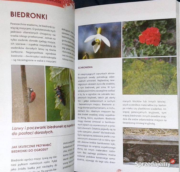 Ogród ostoja zwierząt J Niewolewska Sadownik K Chełm