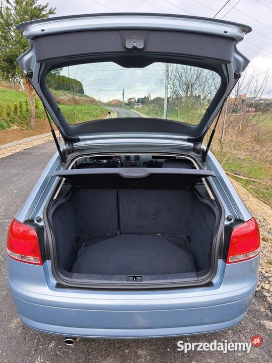 Audi A3 8P 16 MPI z LPG 102KM A3 sprzedam