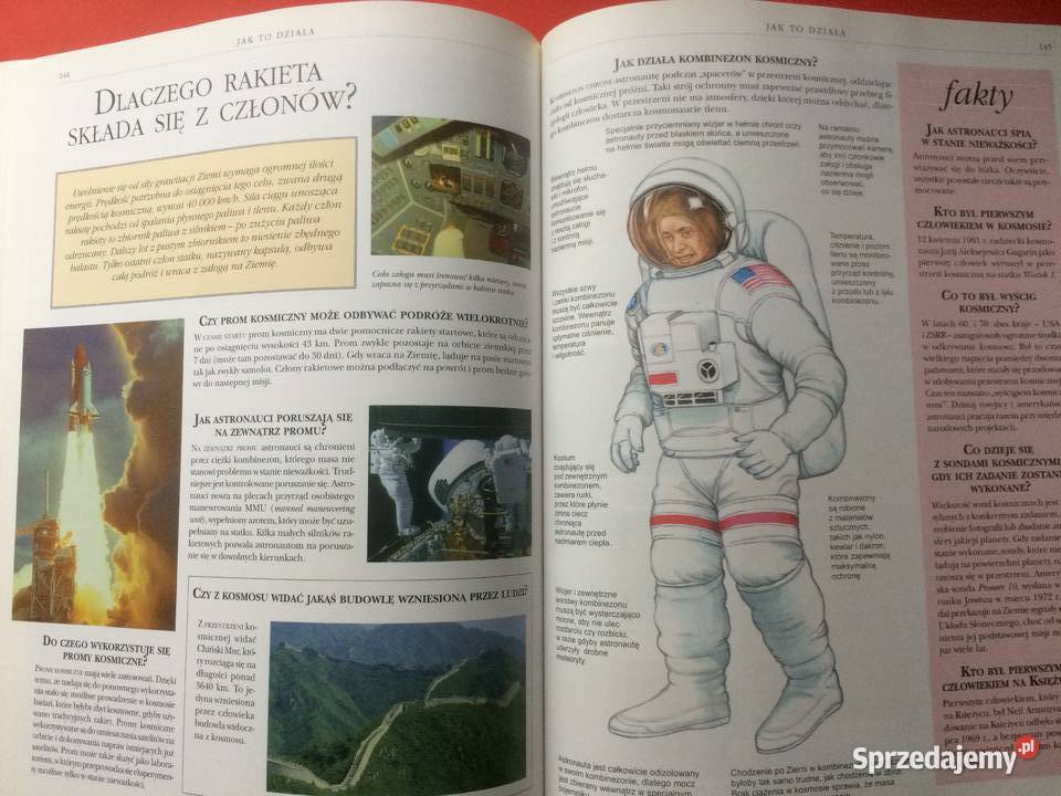 3126 Encyklopedia Szkolna