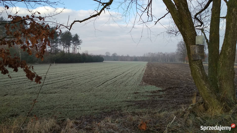 Działka rolnobudowlana 15000m woda mazowieckie Kożuszki-Parcel