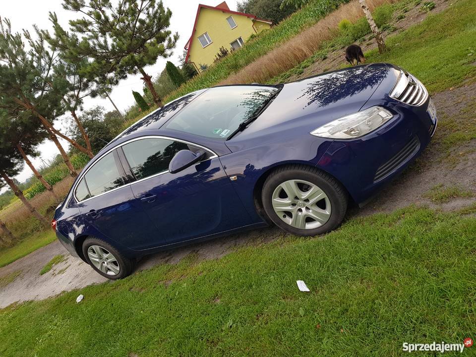 Opel Insignia 20 cdti 2010 Rok produkcji 2010