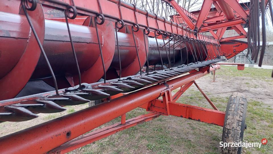 Bizon Z056 Biedaczów