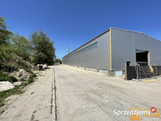 Lokal 805772m2 Opole