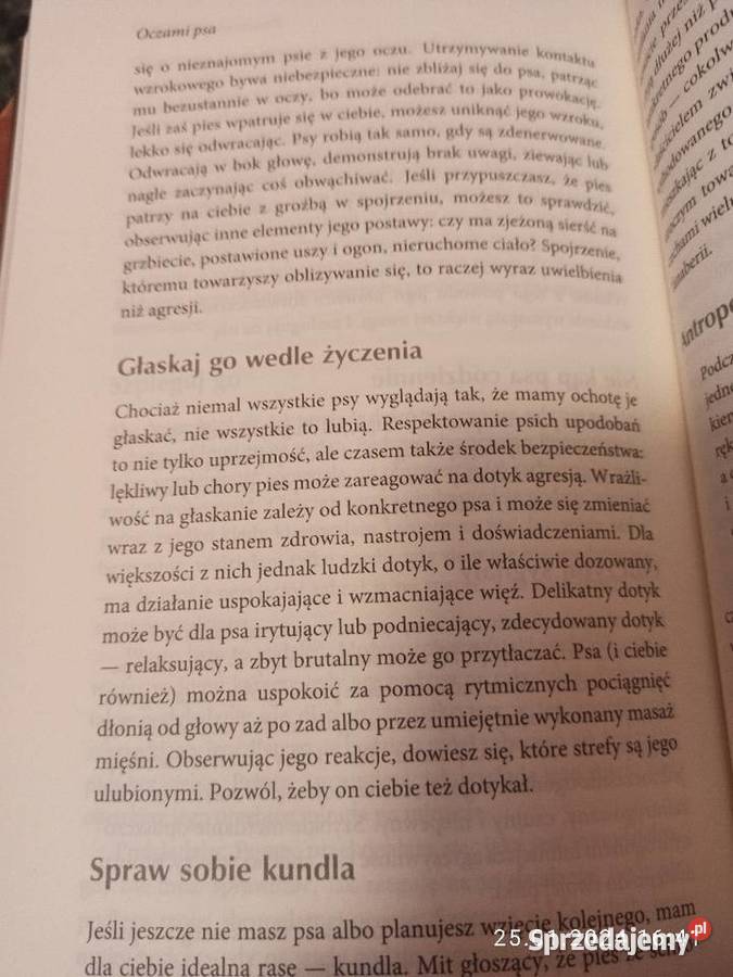 Książka pt Oczami Psa Autor Alexandra Horowitz ISBN 9788375543681 zachodniopomorskie