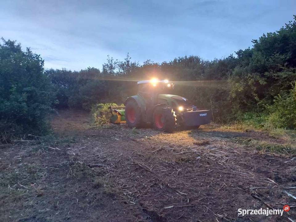 Wycinka drzew Czyszczenie działek Mulczowanie Rybnik