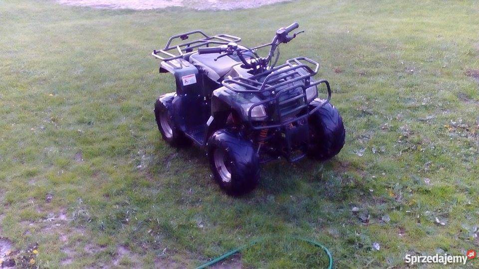 Quad Kingway Minitraper 110 świętokrzyskie