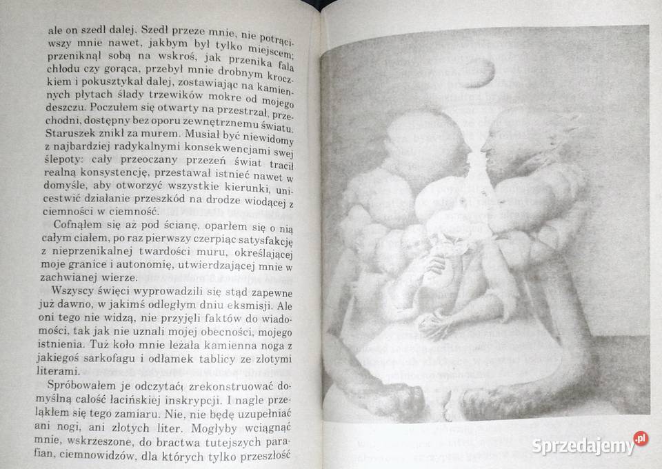 Czekanie na sen psa Jerzy Ficowski Chełm