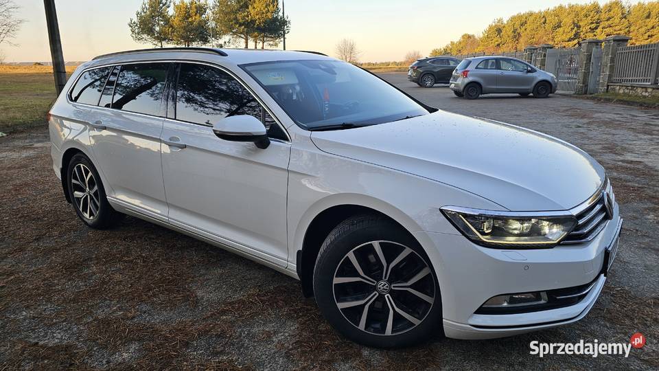 Passat 20 I właściciel krajowy