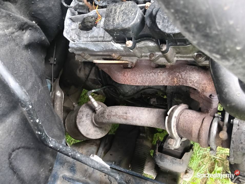 Mercedes Sprinter 906 22 CDI 2008r Jeździ Napęd tylna oś Słupsk