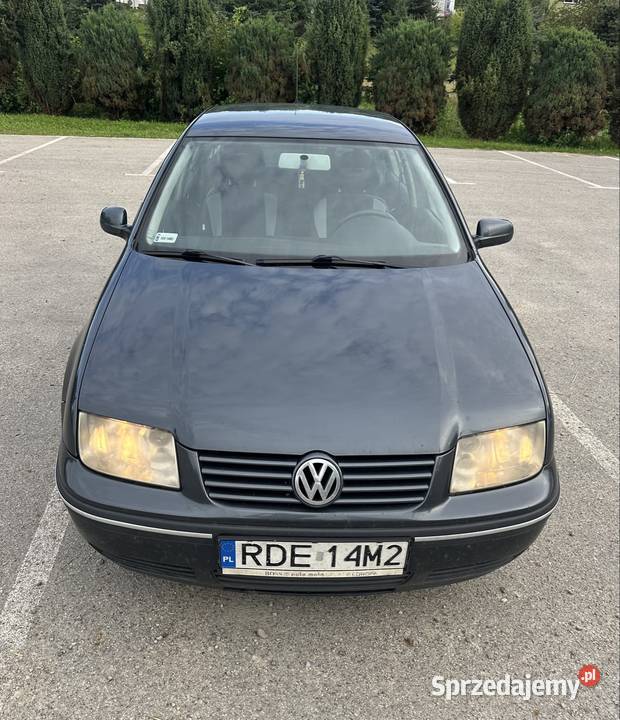 Volkswagen Bora 19 TDI 2002r