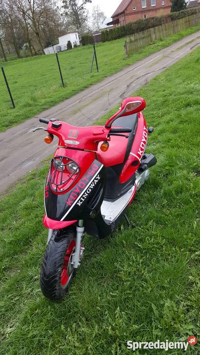 Skuter Kingway Koyot 50 4T 7200km Karchowice