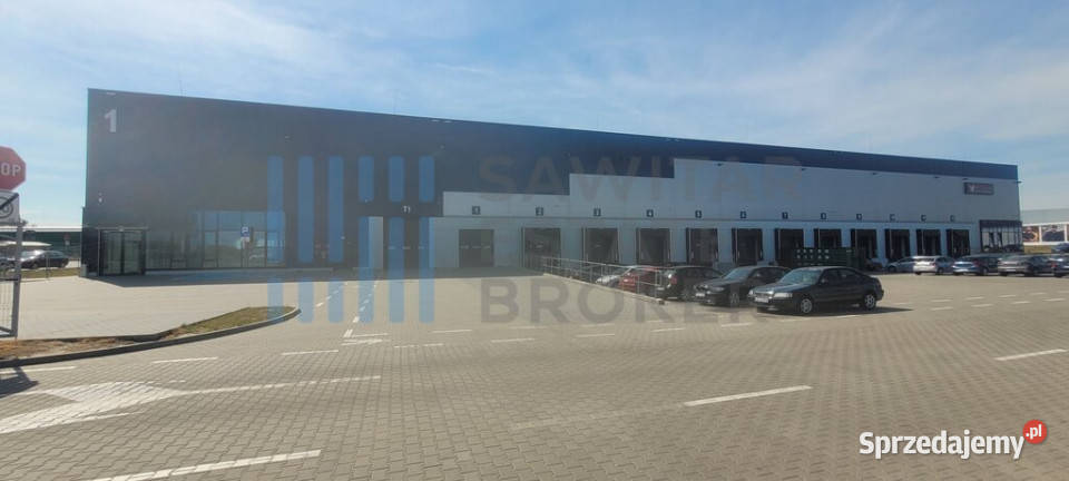 Nowoczesny Magazyn Klasy A w centrum Katowic Wynajem Katowice
