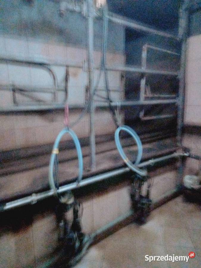 Dojarka Westfalia z hali udojowej Grajewo sprzedam