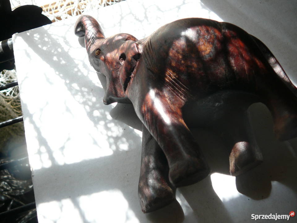 Słoń mały drewno Wrocław