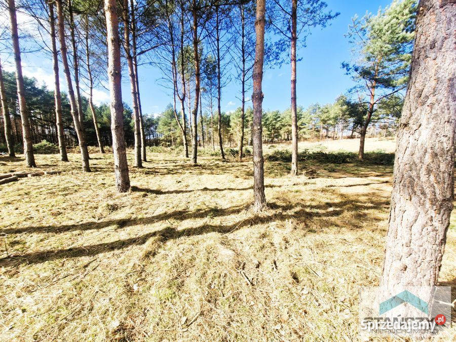 Działka Golczewo 1350m2