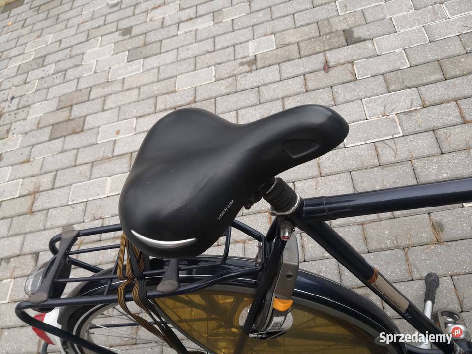 Gazella Impala szuka nowego właściciela