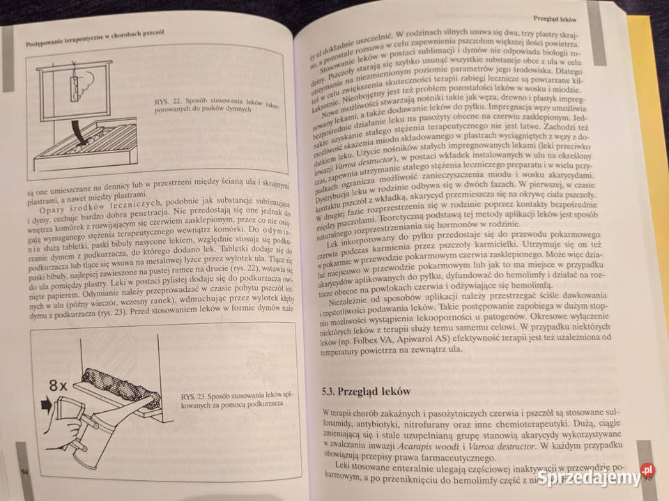 Choroby pszczół odporność patologia terapia lubelskie Międzyrzec Podlaski