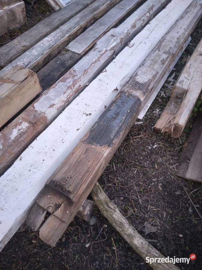 Belki stare wiekowe Nowa Góra