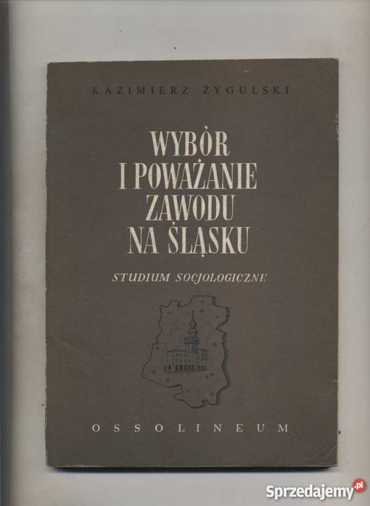 Wybór i poważanie zawodu na Śląsku Studium Pozostałe Szczecin sprzedam