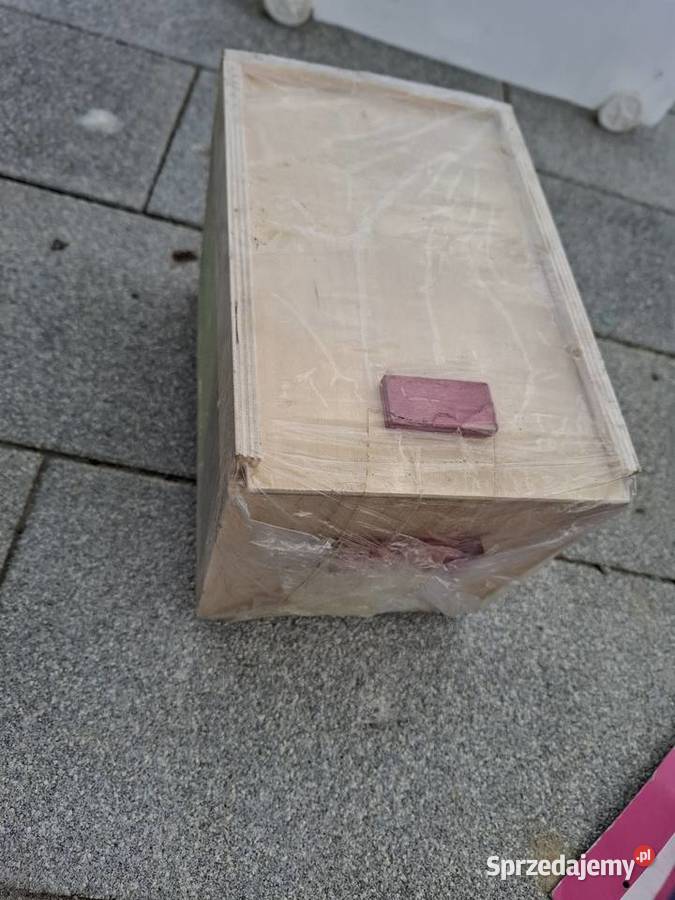 Zabawki kota psa królika Kajetany