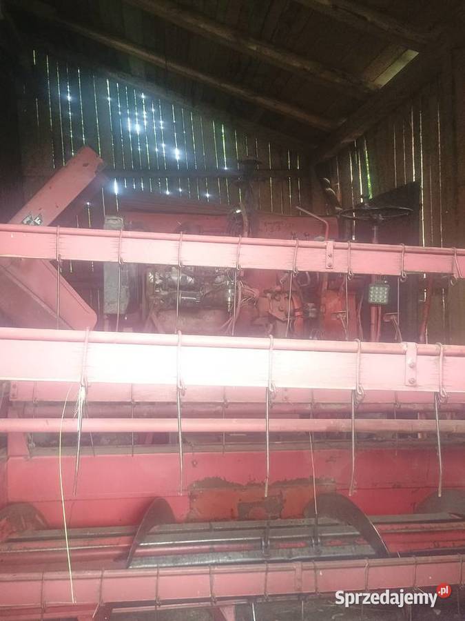 Kombajn Massey Ferguson 31 Więciórka
