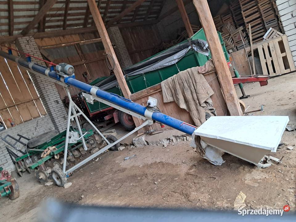 Żmijka do zboża świętokrzyskie Stopnica