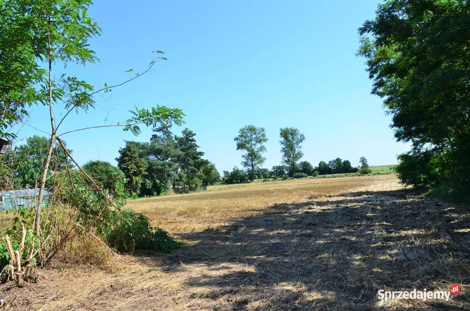 Sprzedam dom w Olszówce wolnostojący wielkopolskie Olszówka