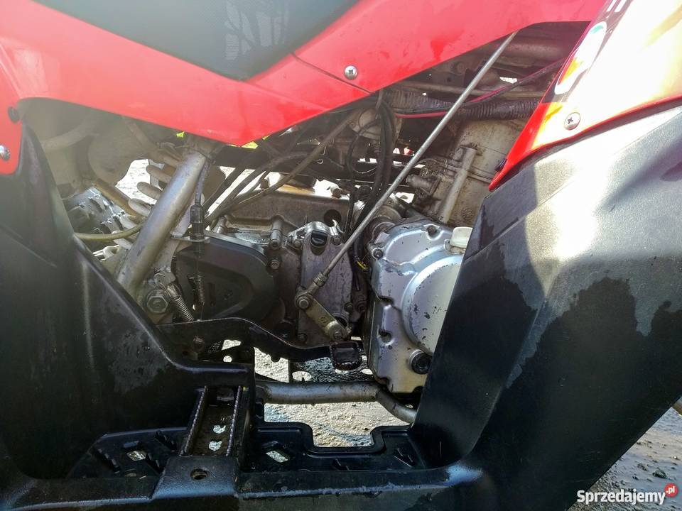 Access lucky star 250 kupiony w Polsce Bożków