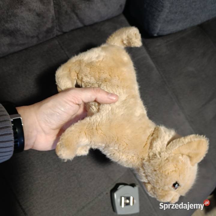 Pluszak piesek następny maskotka Poznań