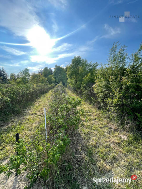 Grunt 1845 metrów Podkampinos Jagodowa