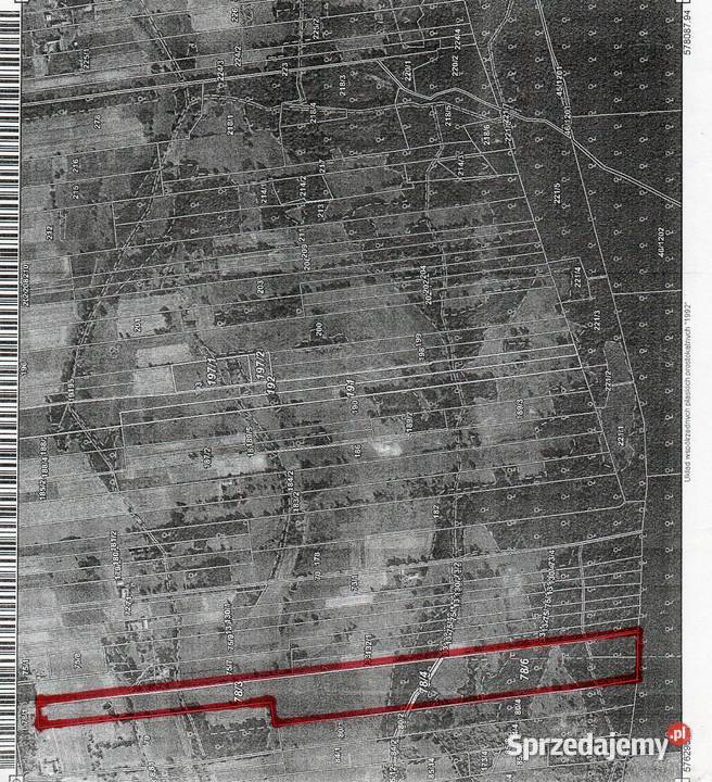 125ha Bieniew gm Iłów 125000m2