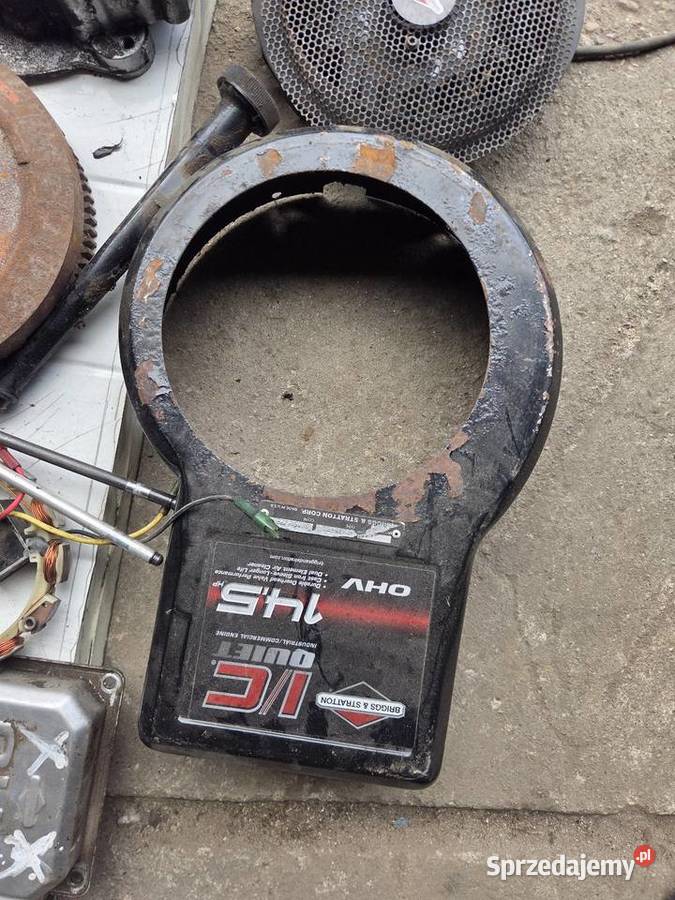 Glowica kolo zamachowe briggs stratton 145 tlok pomorskie Wiele