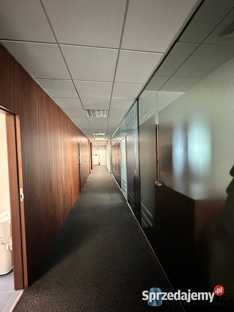 Lokal Warszawa 300m2