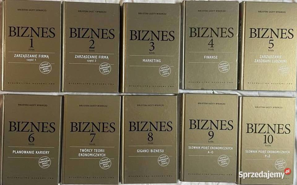 Biznes 110 Kruszwica