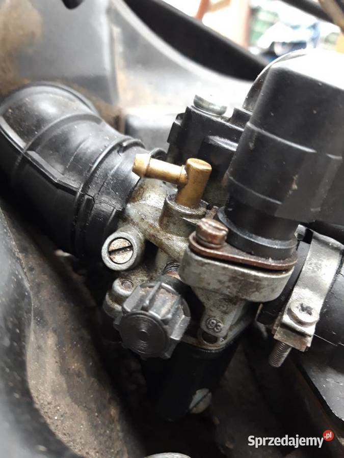 Sprzedam części do skutera piaggio typhon 50 2t skuter Oleśnica