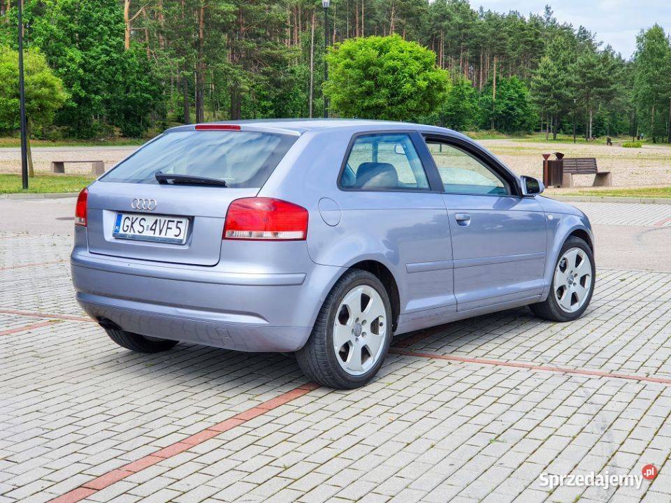 Audi A3 8P 19 TDI BKC Grabowo Kościerskie